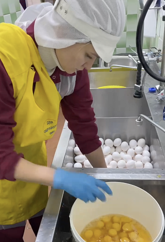 3000 яиц в день! Именно столько мы используем в нашем цехе для приготовления полуфабрикатов.